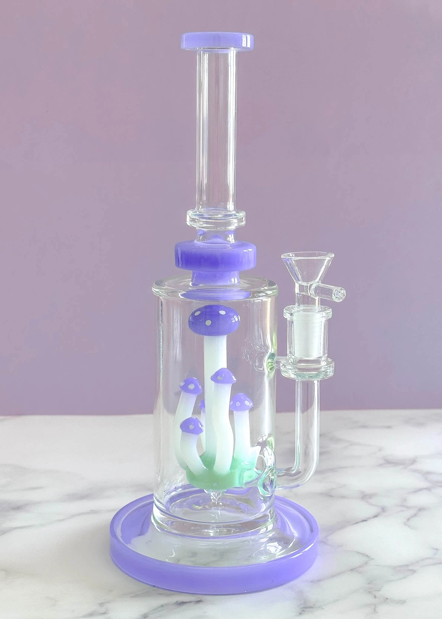 MUSHROOM TERRANIUM BONG(Mushroom Terranium Bong 1) 3 MUSHROOM TERRANIUM BONG(Mushroom Terranium Bong 1)