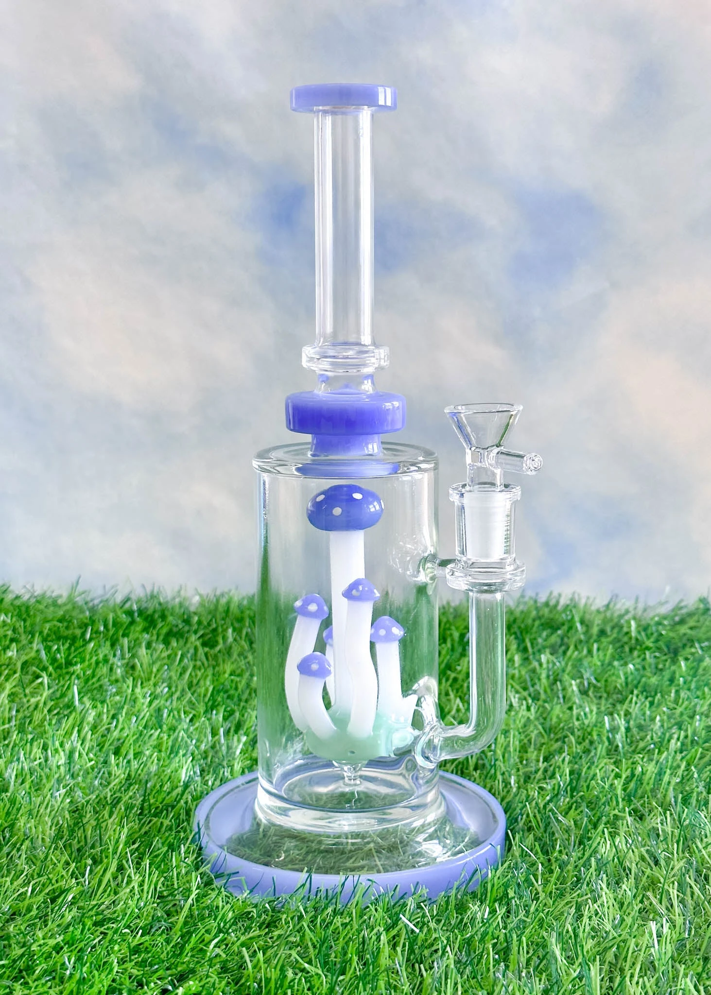 MUSHROOM TERRANIUM BONG(Mushroom Terranium Bong 1) 5 MUSHROOM TERRANIUM BONG(Mushroom Terranium Bong 1) - Image 3