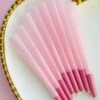 PINK CONES (8-pack)(Pink Cones) -Canna Style Shop IMG 3678