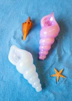IRIDESCENT SEASHELL PIPE(Iridescent Seashell Pipe)