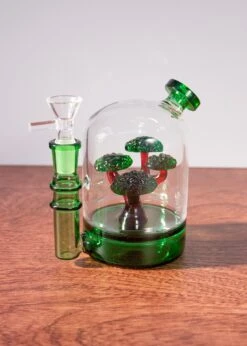 BONSAI TREE BONG(Bonsai Tree Bong)