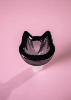 CAT BOWL(Cat Bowl) -Canna Style Shop IMG 7192