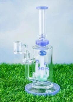 MUSHROOM TERRANIUM RIG(Mushroom Terranium Rig)