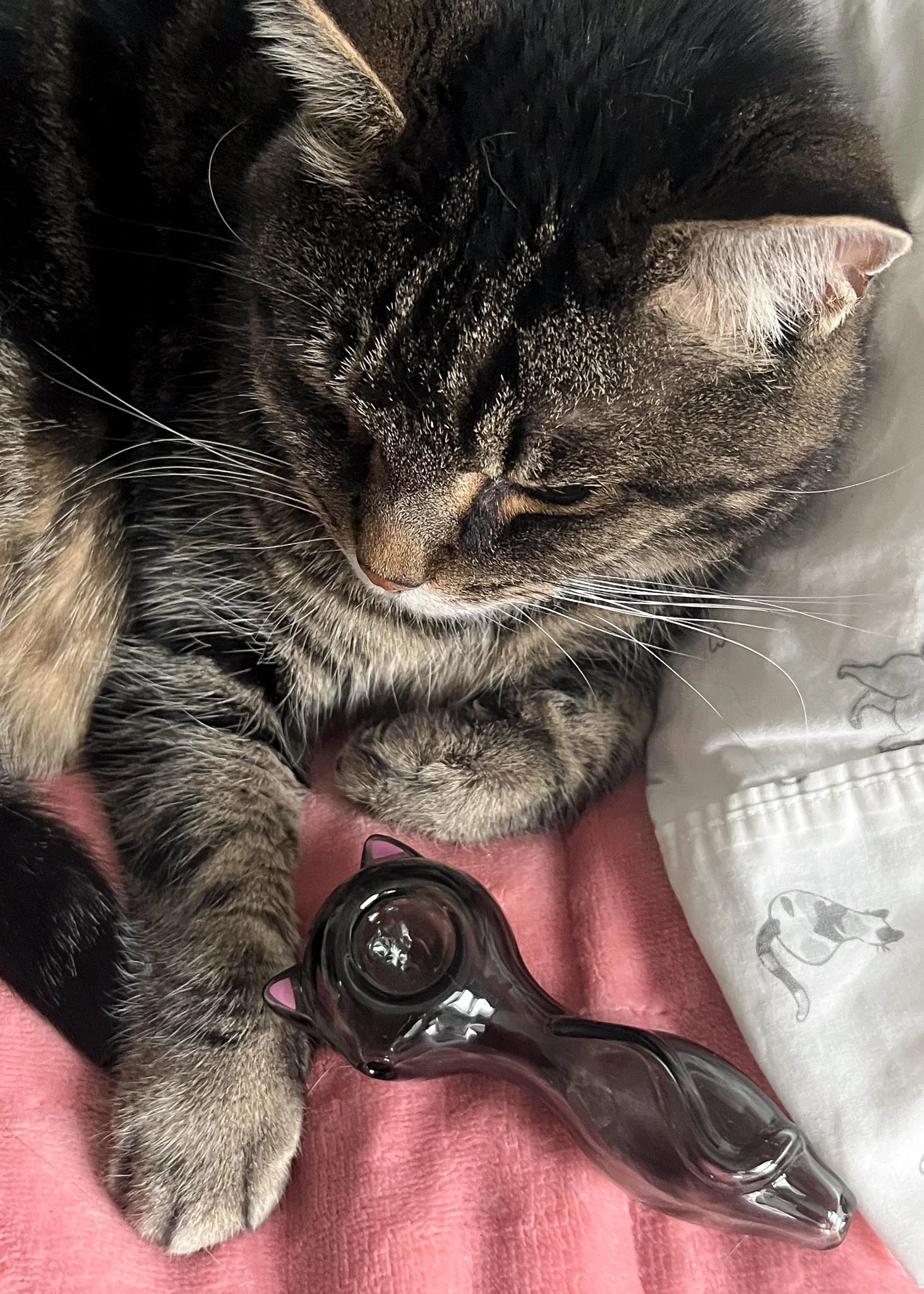 CAT EARS PIPE(Cat Ears Pipe) 4 CAT EARS PIPE(Cat Ears Pipe) - Image 2