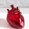 ANATOMICAL HEART PIPE(Anatomical Heart Pipe) 2 ANATOMICAL HEART PIPE(Anatomical Heart Pipe) -Canna Style Shop IMG 9233