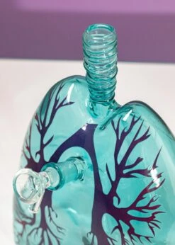 ANATOMICAL LUNG BONG(Anatomical Lung Bong) -Canna Style Shop IMG 9868