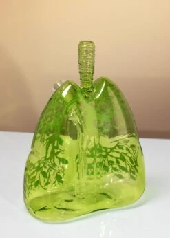 TREE LUNG BONG(Tree Lung Bong) -Canna Style Shop IMG 9888rev2