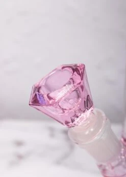 Front Page -Canna Style Shop djb pink 2