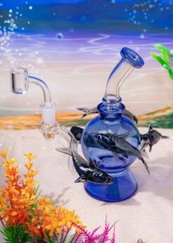 SHARK RIG(Shark Rig)