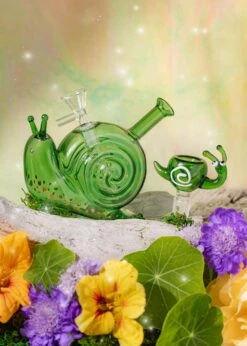 SNAIL BOWL(Snail Bowl) -Canna Style Shop snails combo sparkles 05d4c903 0181 40c8 9a5a 7f3bdfe3d0ac